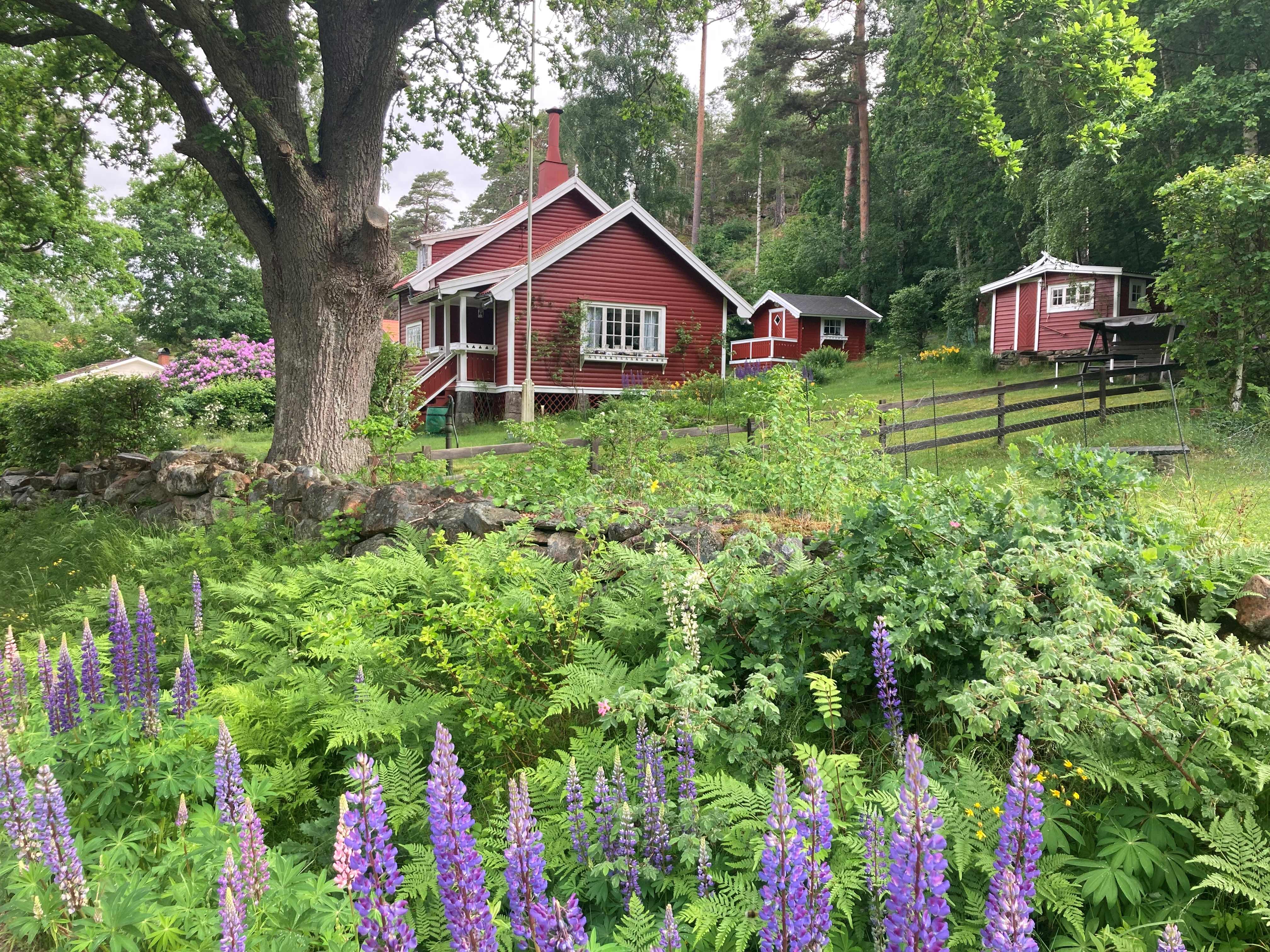 Lupine huisje.jpg