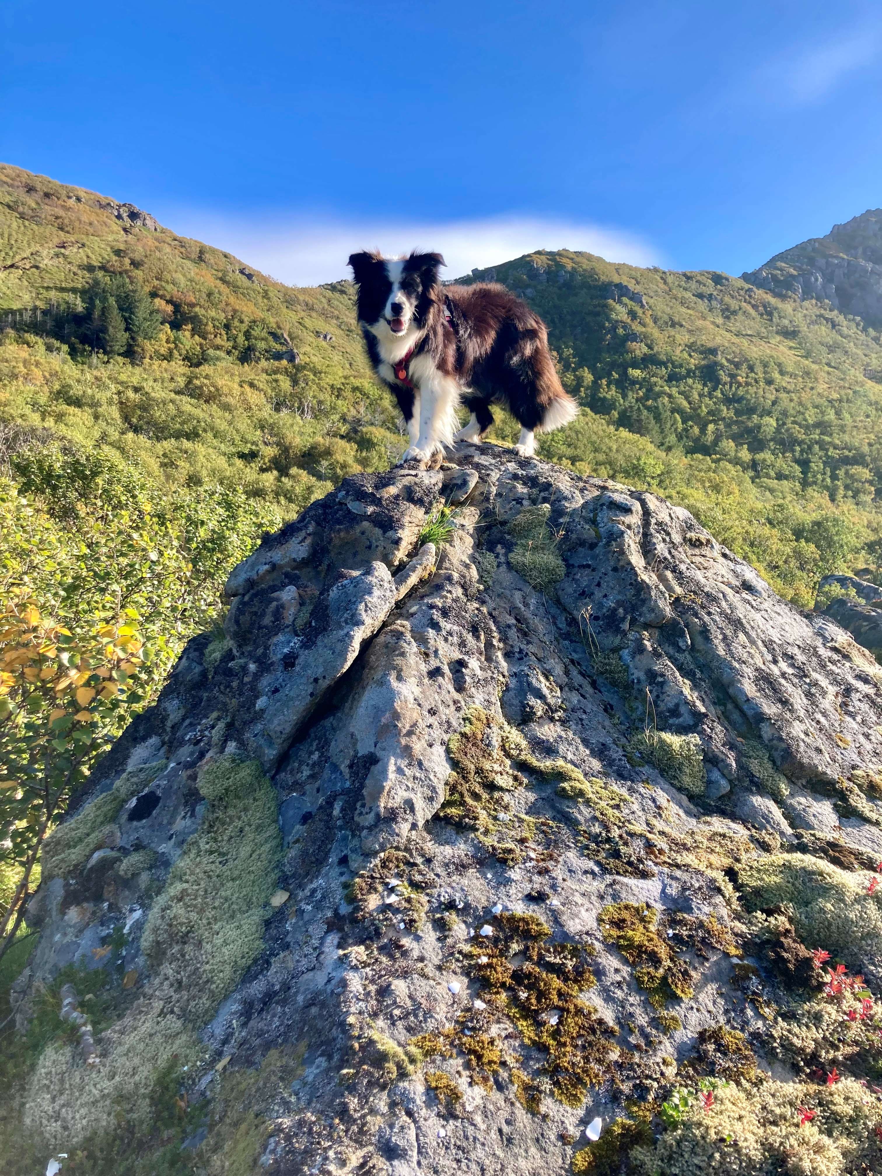 Marley Nyksund rots.jpg
