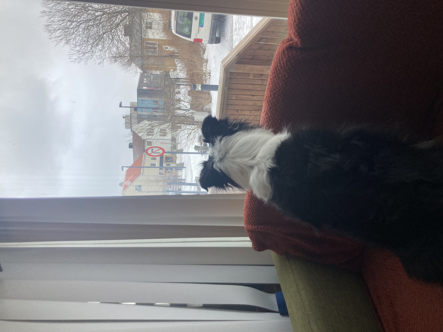 Marley kijkt naar hotel.jpeg