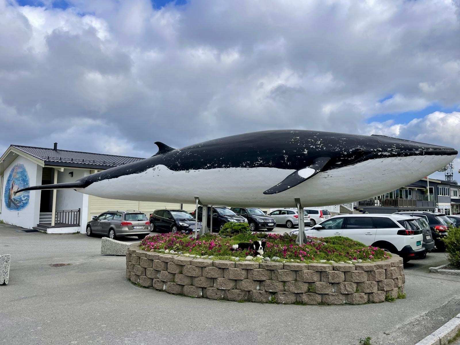 Marley met een minkewhale.jpg