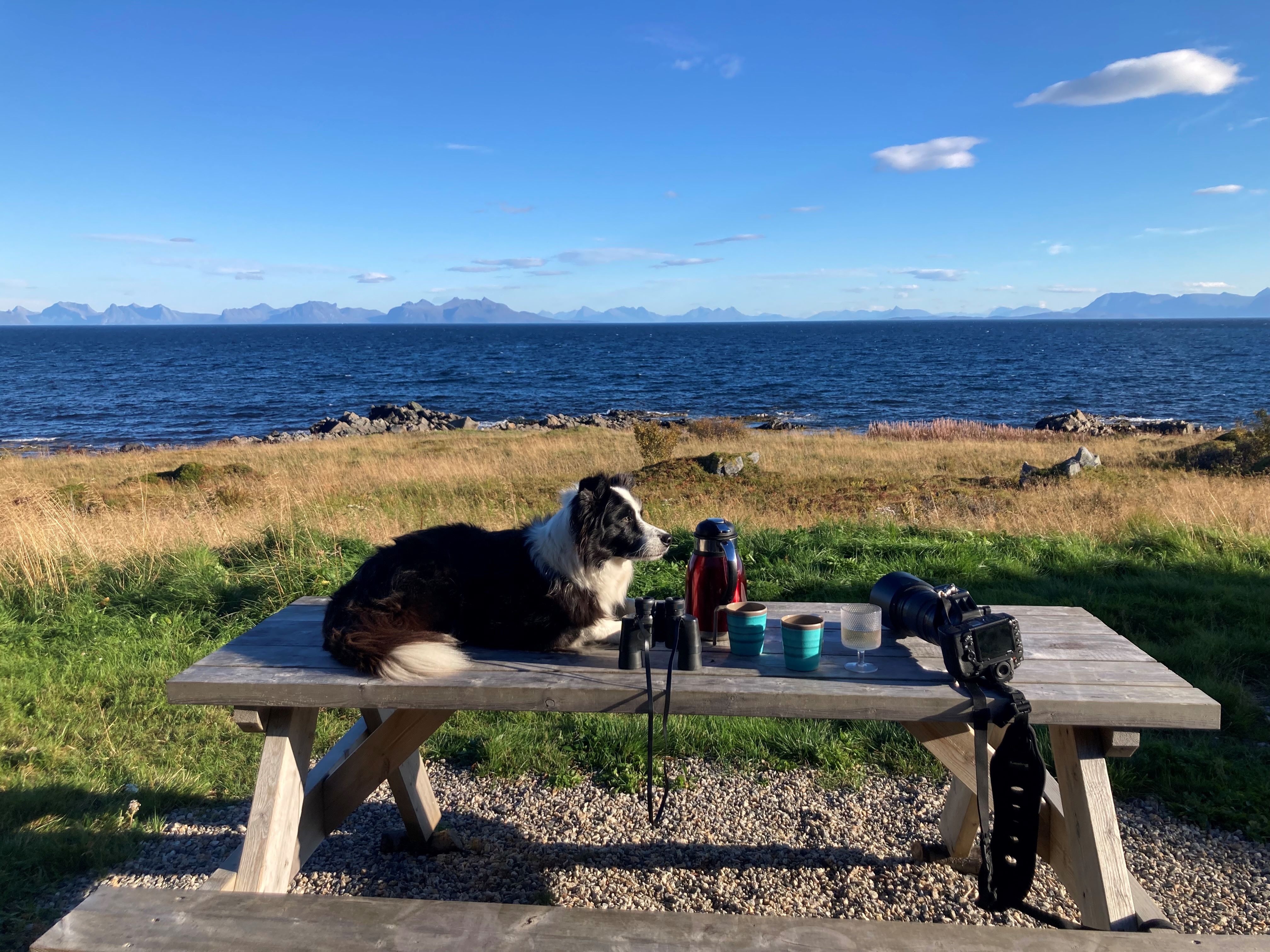 Marley picknicktafel.jpg