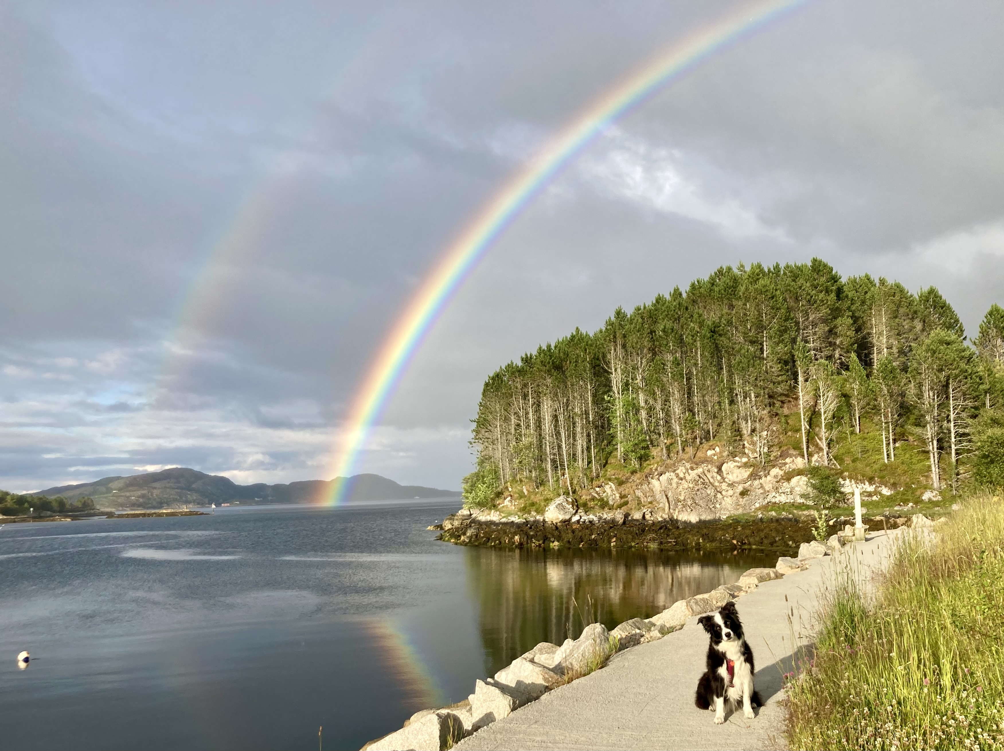 Marley regenboog.jpg