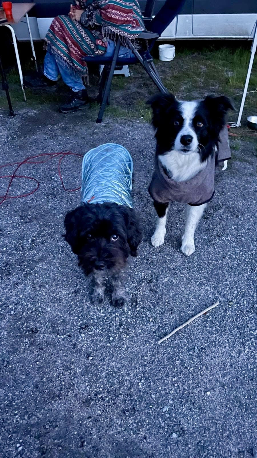 Peper en Marley.jpg