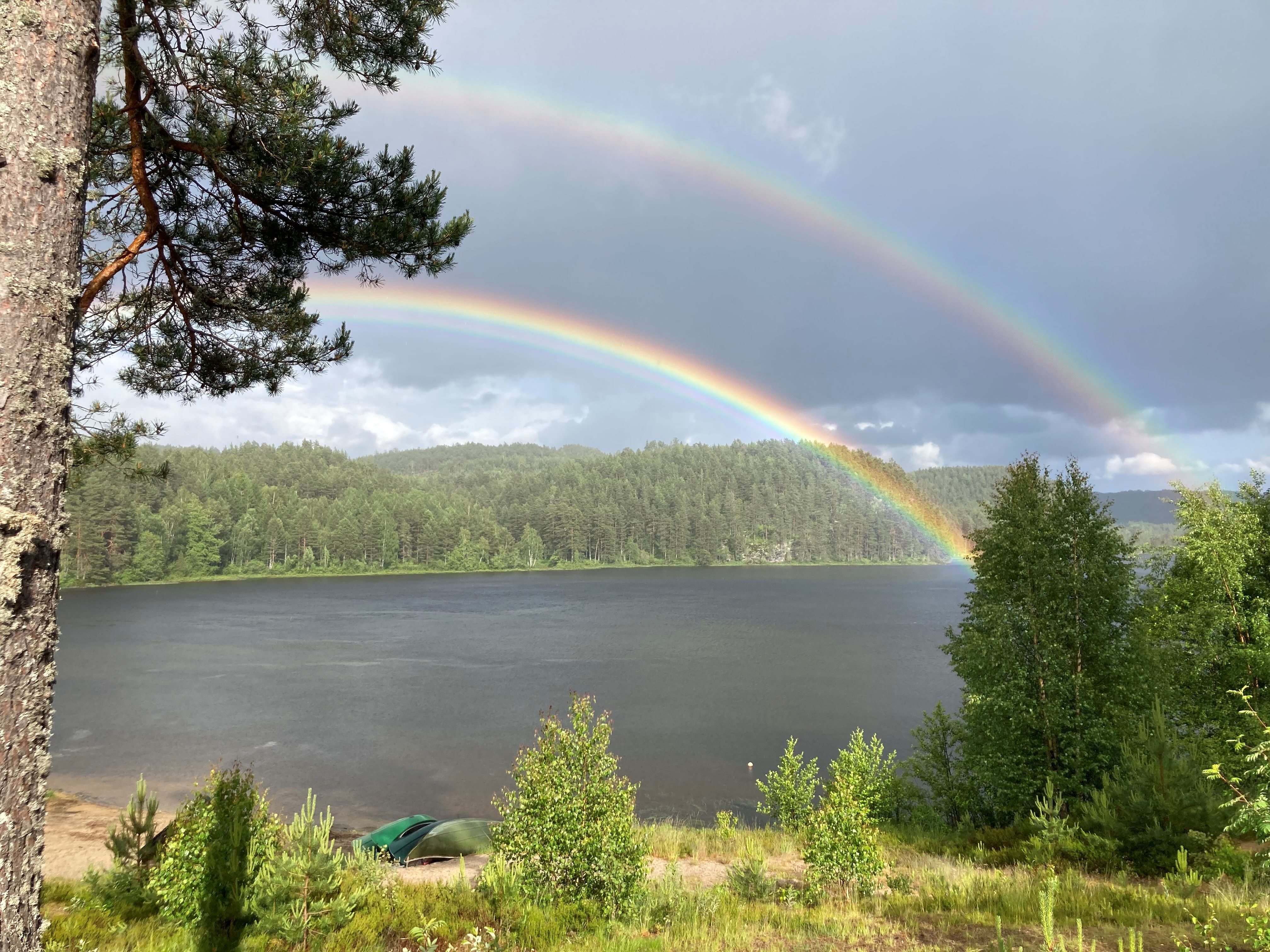 Regenboog.jpg