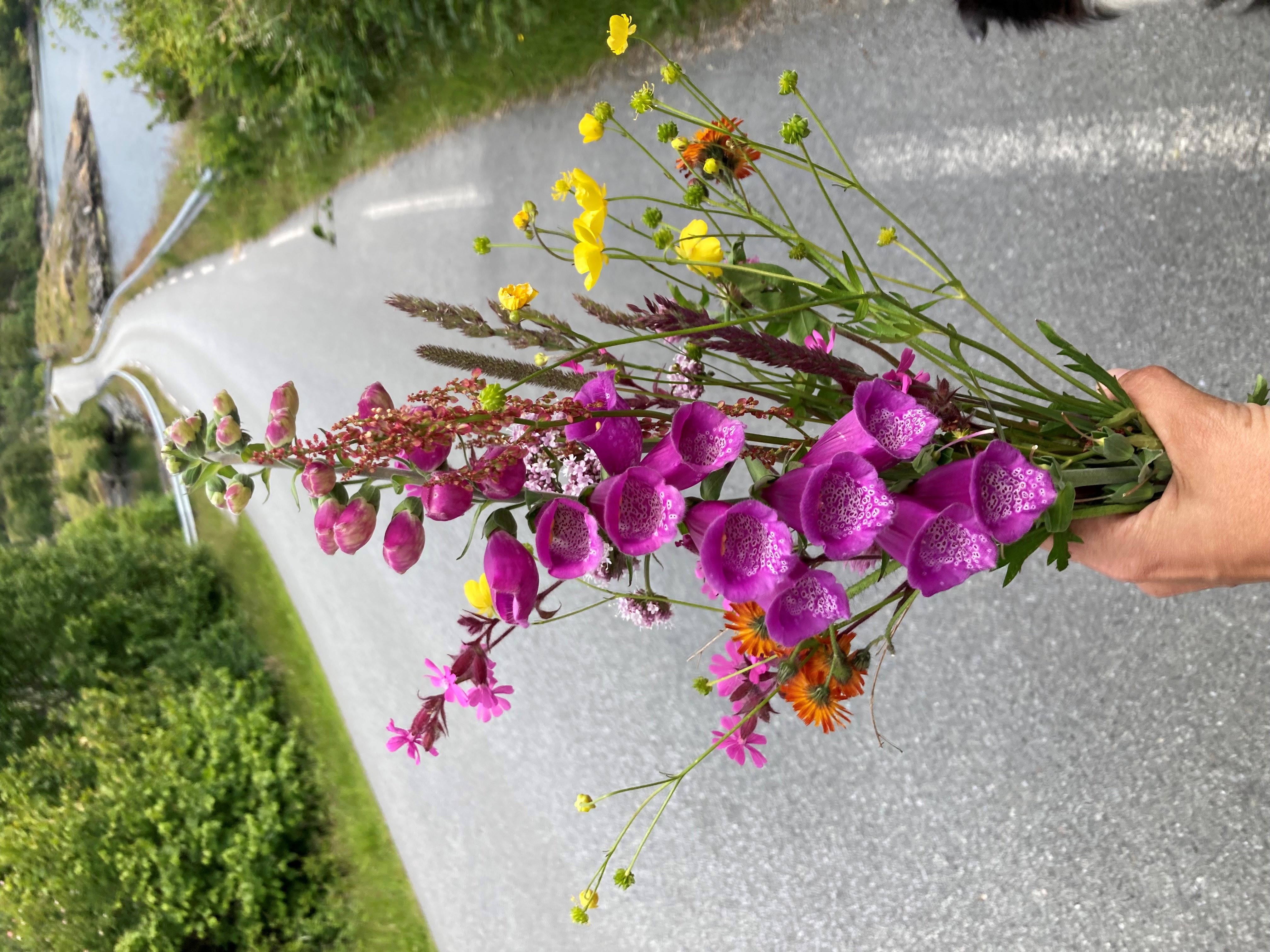 bloemen.jpg