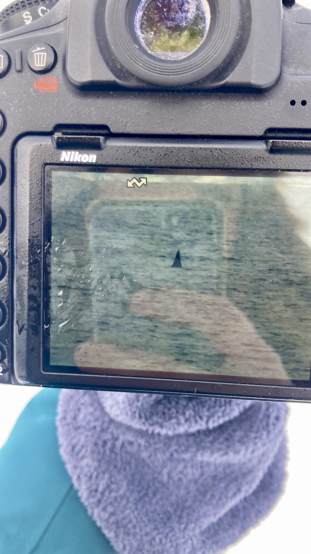 camera eerste orka.jpeg