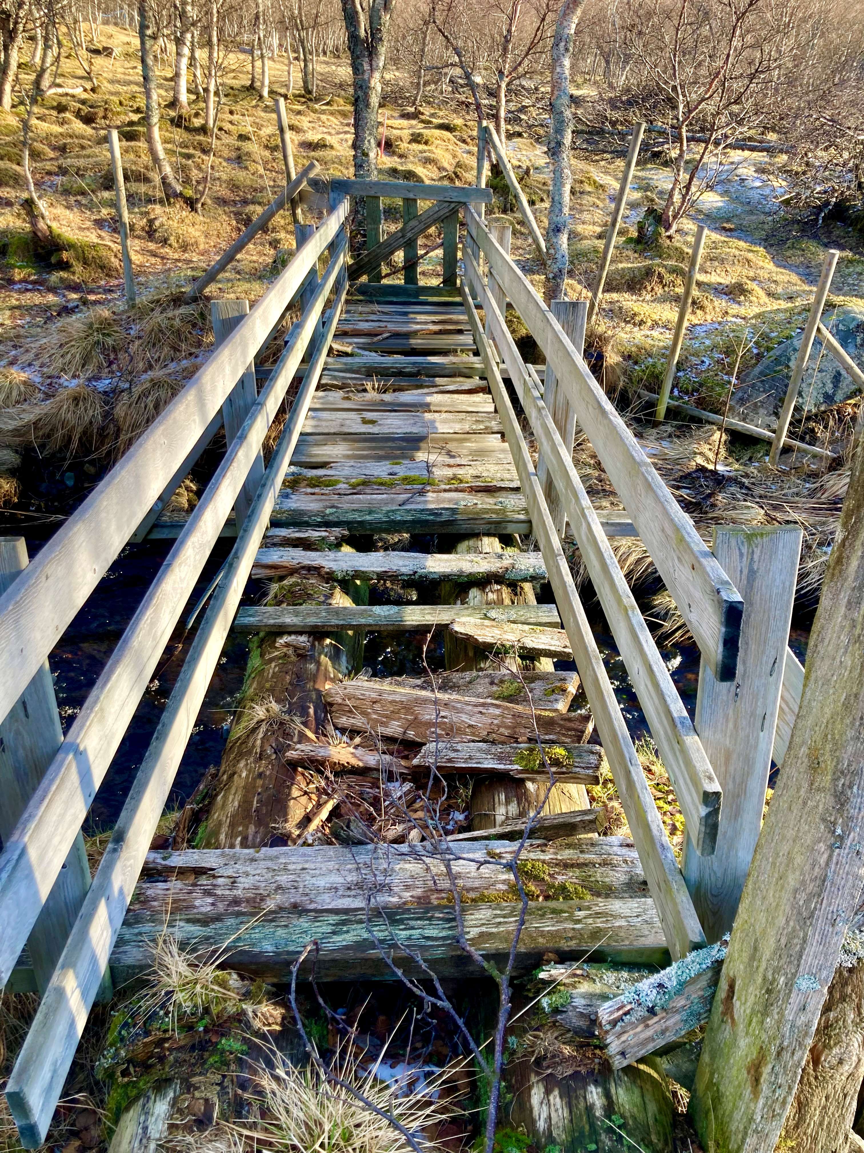 gammele brug.jpg
