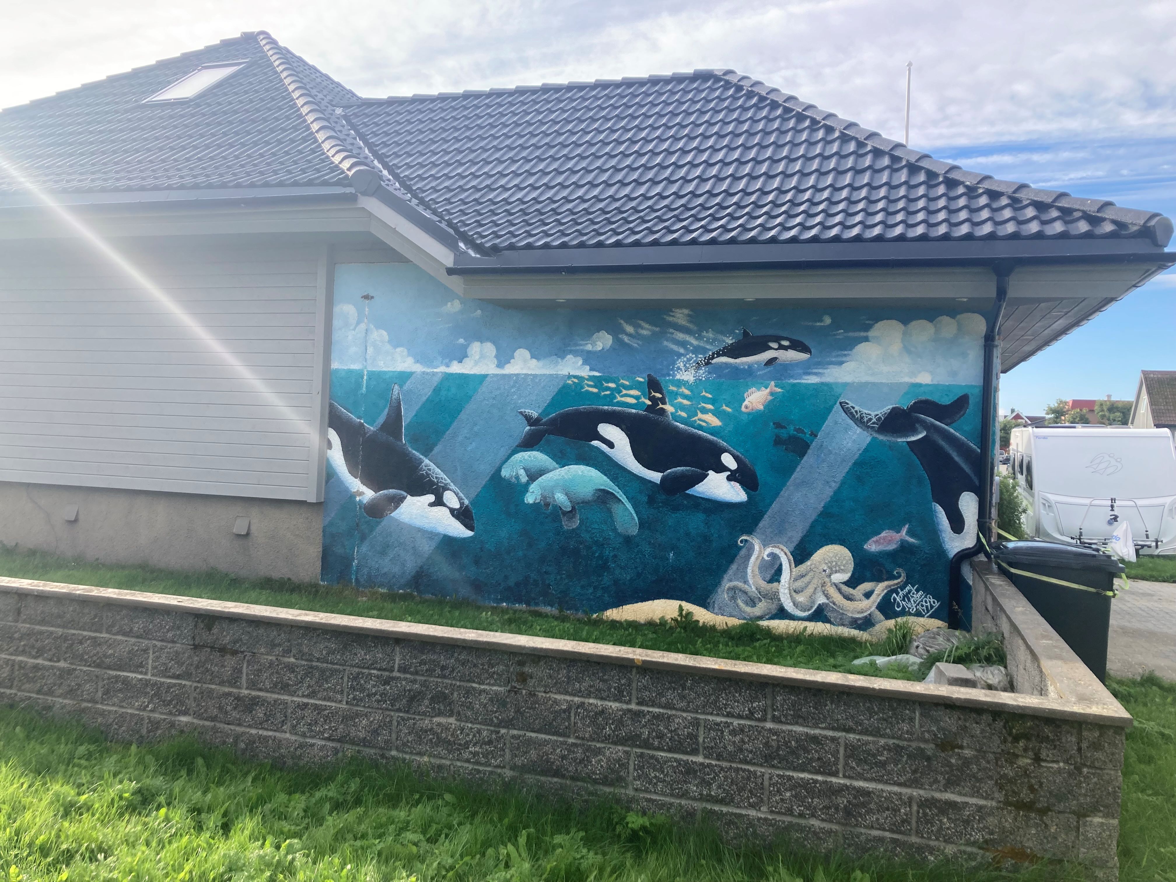 huis met orkas.jpg