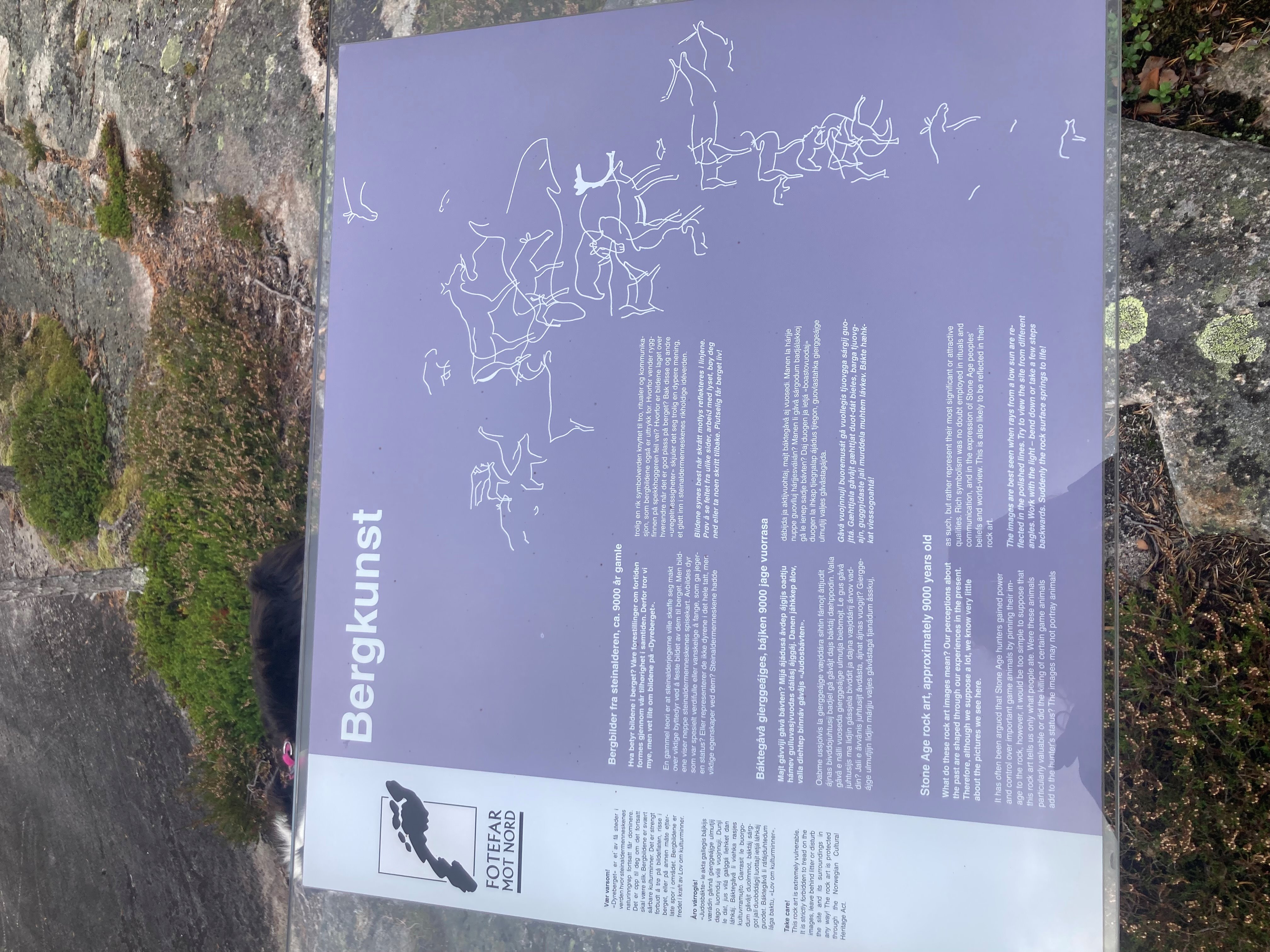info bord rotstekeningen.jpg