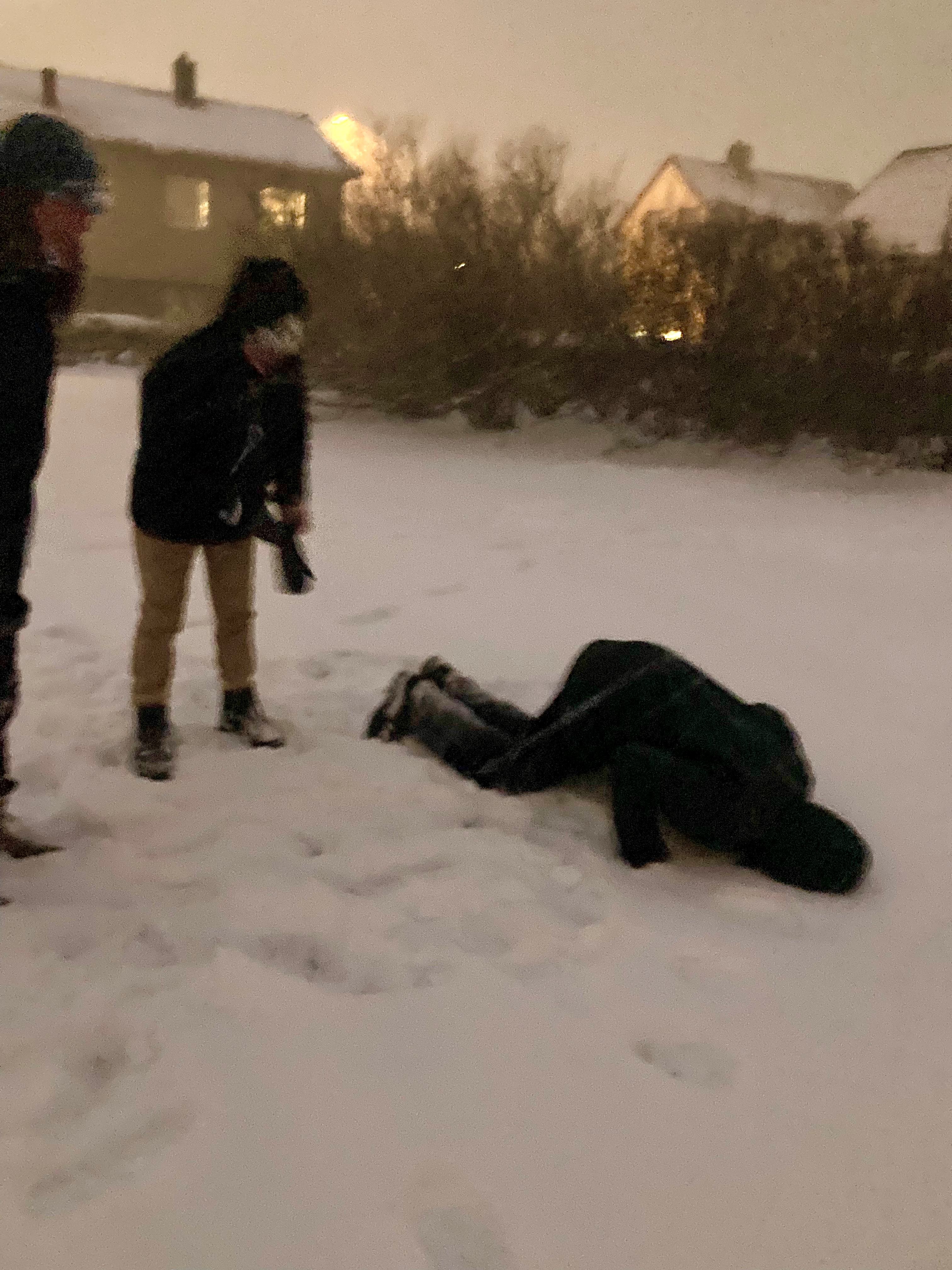 kop in de sneeuw 2.jpg
