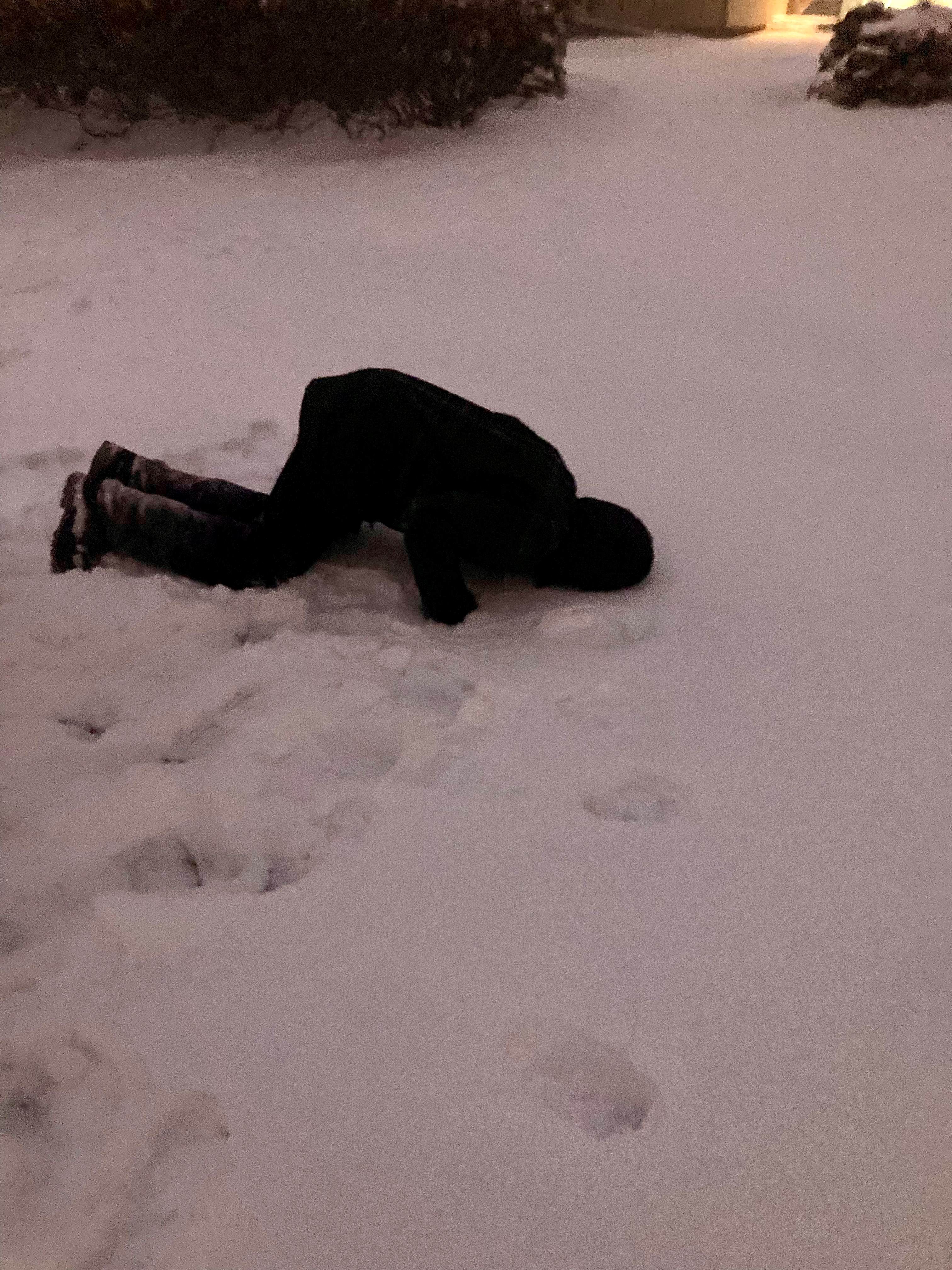 kop in de sneeuw.jpg