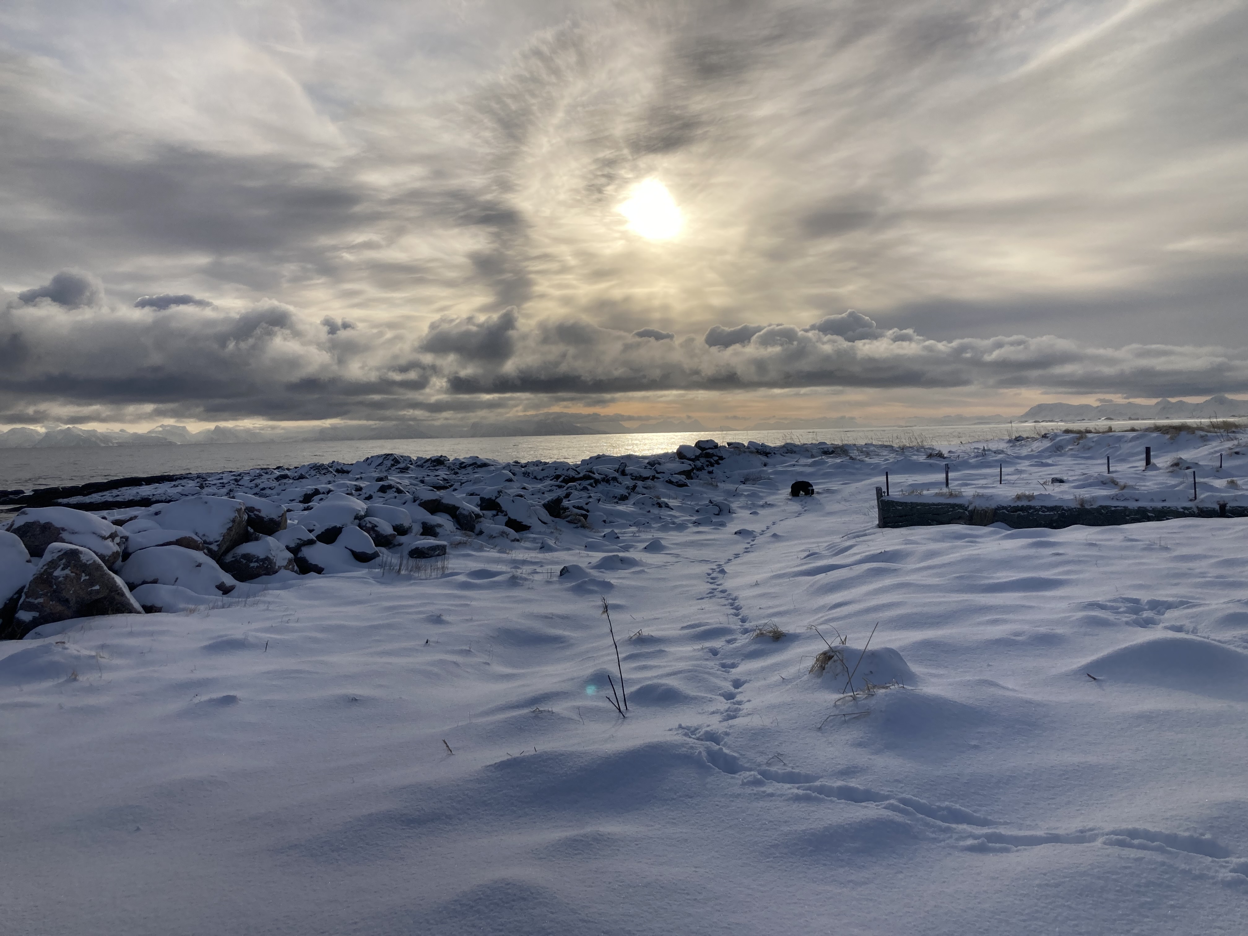 mooie zon en sneeuw.jpeg