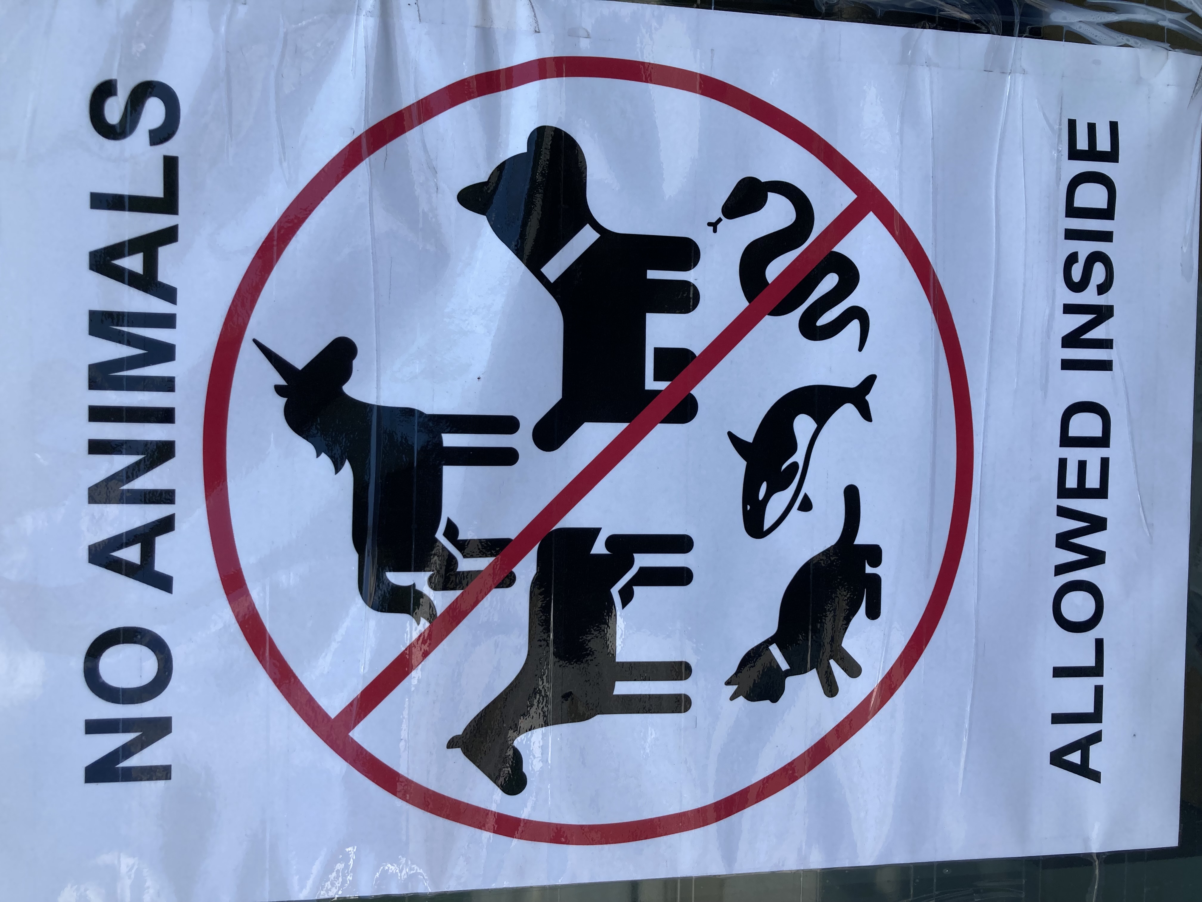 no pets allowed.jpg