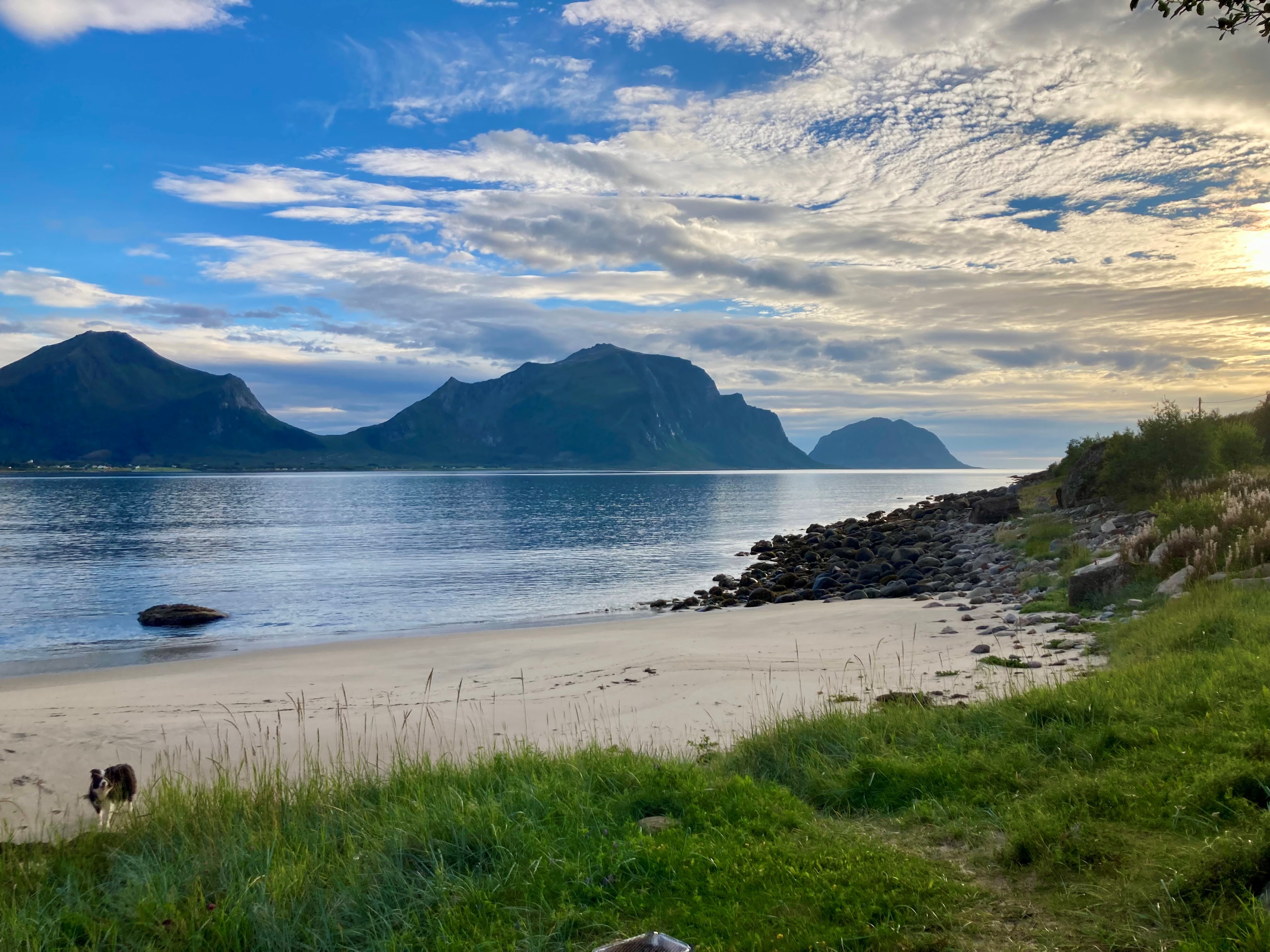 prachtige avond wandeling.jpg