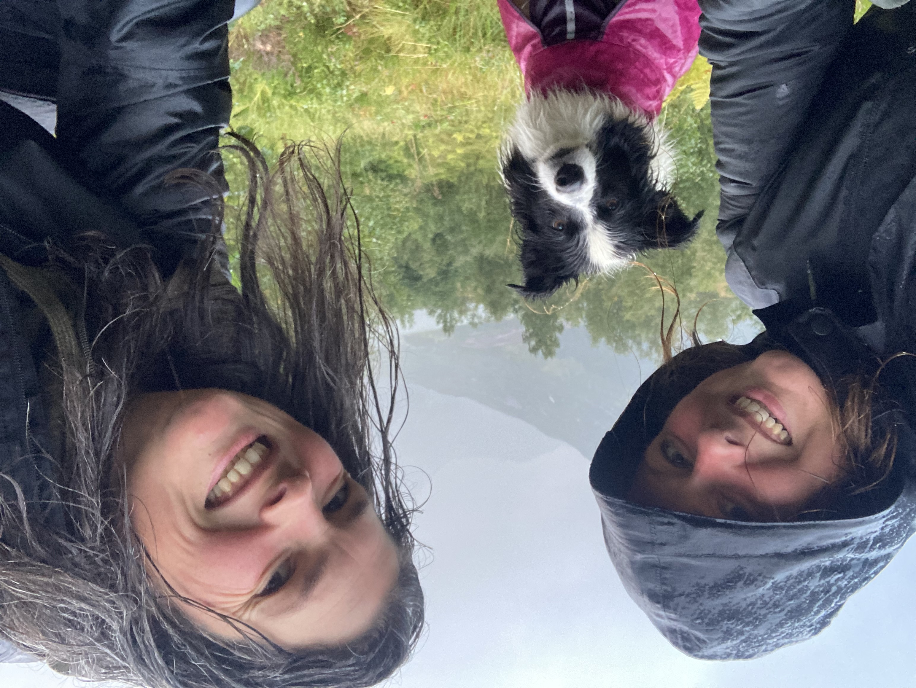 regen.jpg