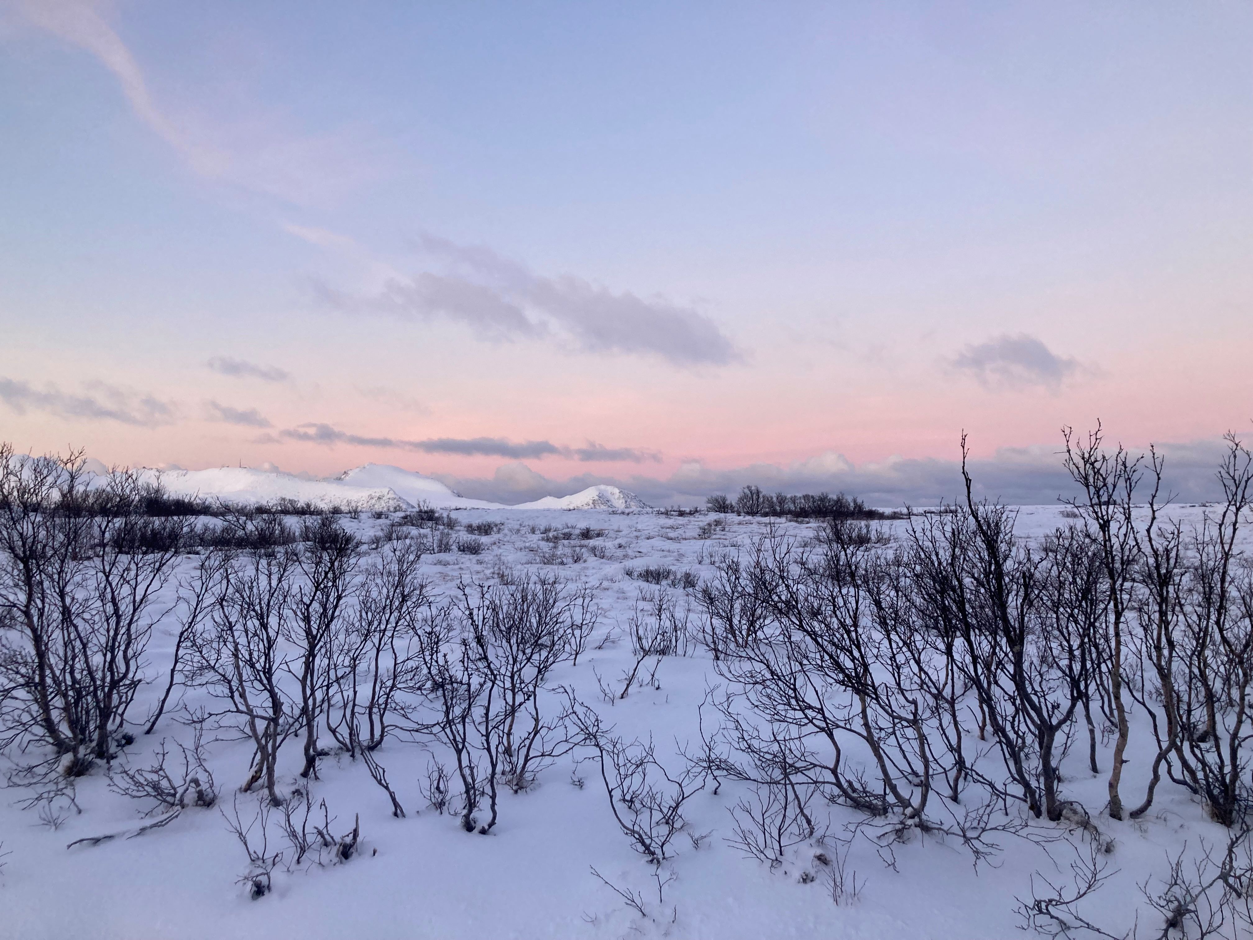 roze lucht Fiskenes.jpg
