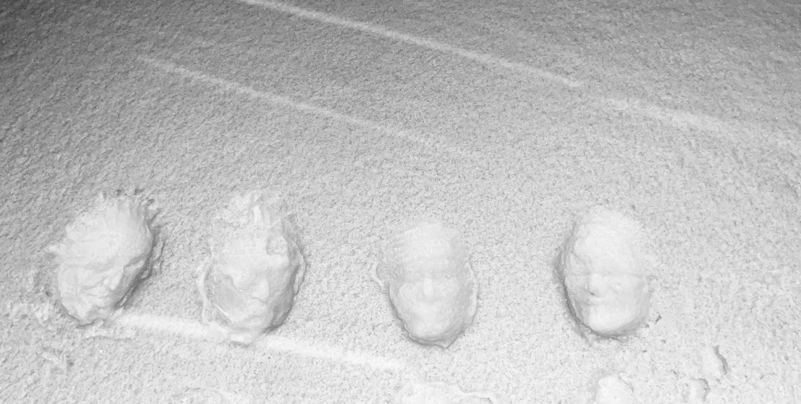 sneeuwgezichten.jpeg