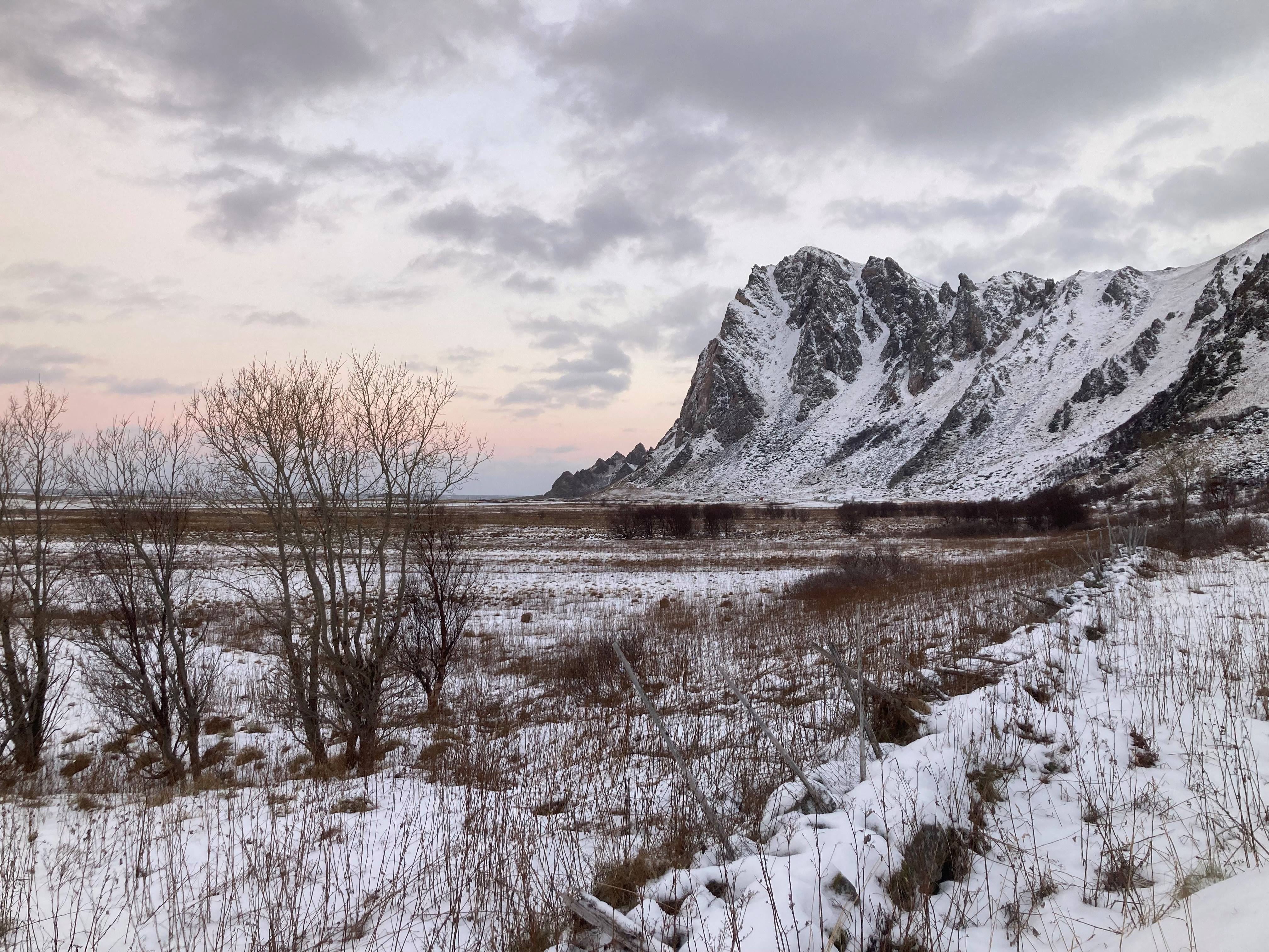 sneeuwlandschap 2.jpg