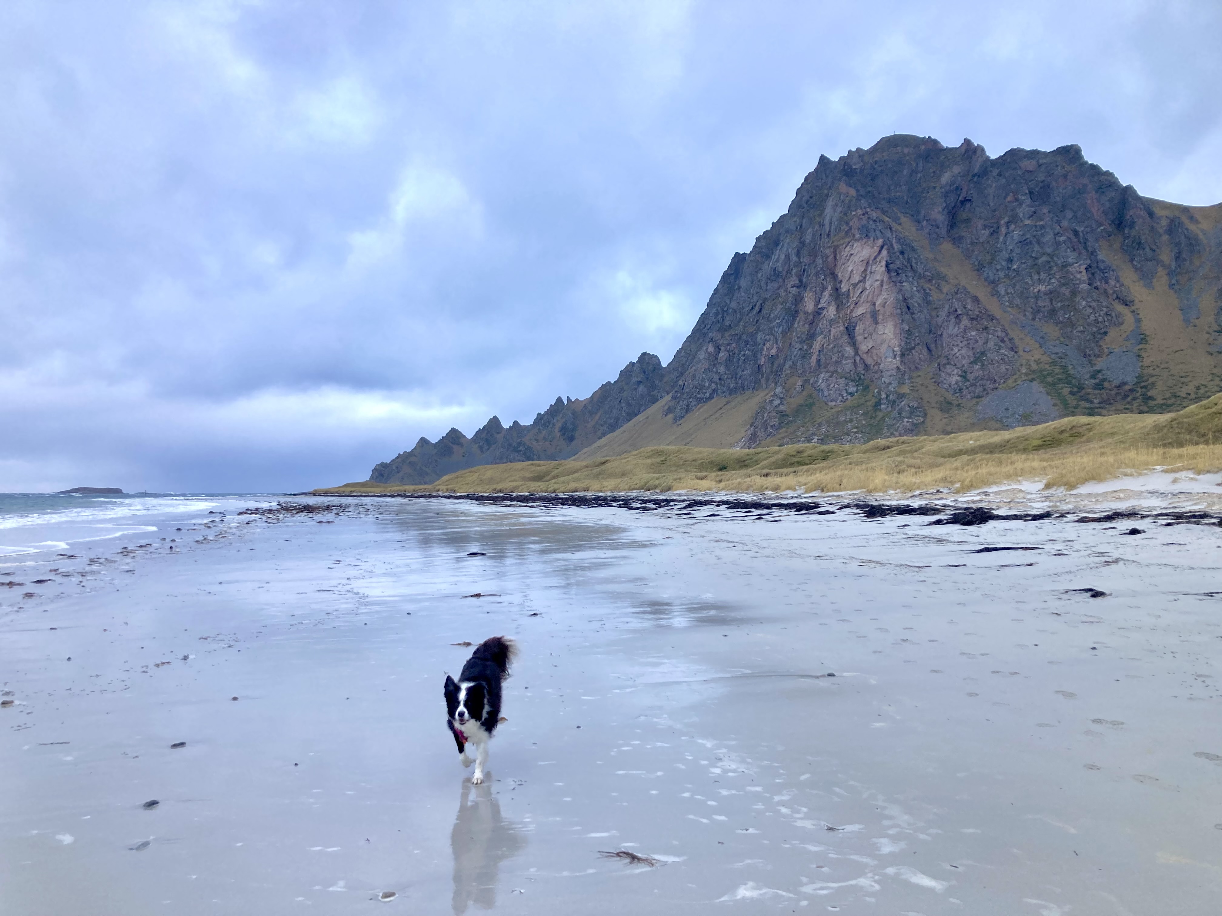 strand bij Bleik.jpg