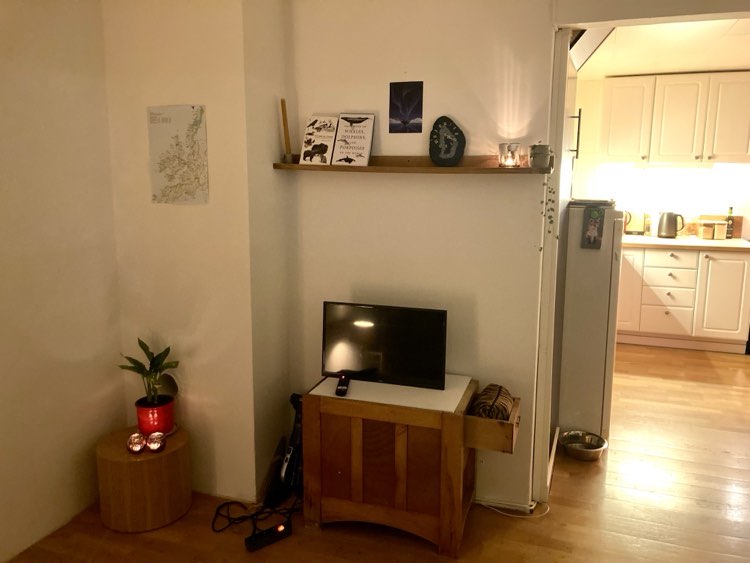 tv.jpg
