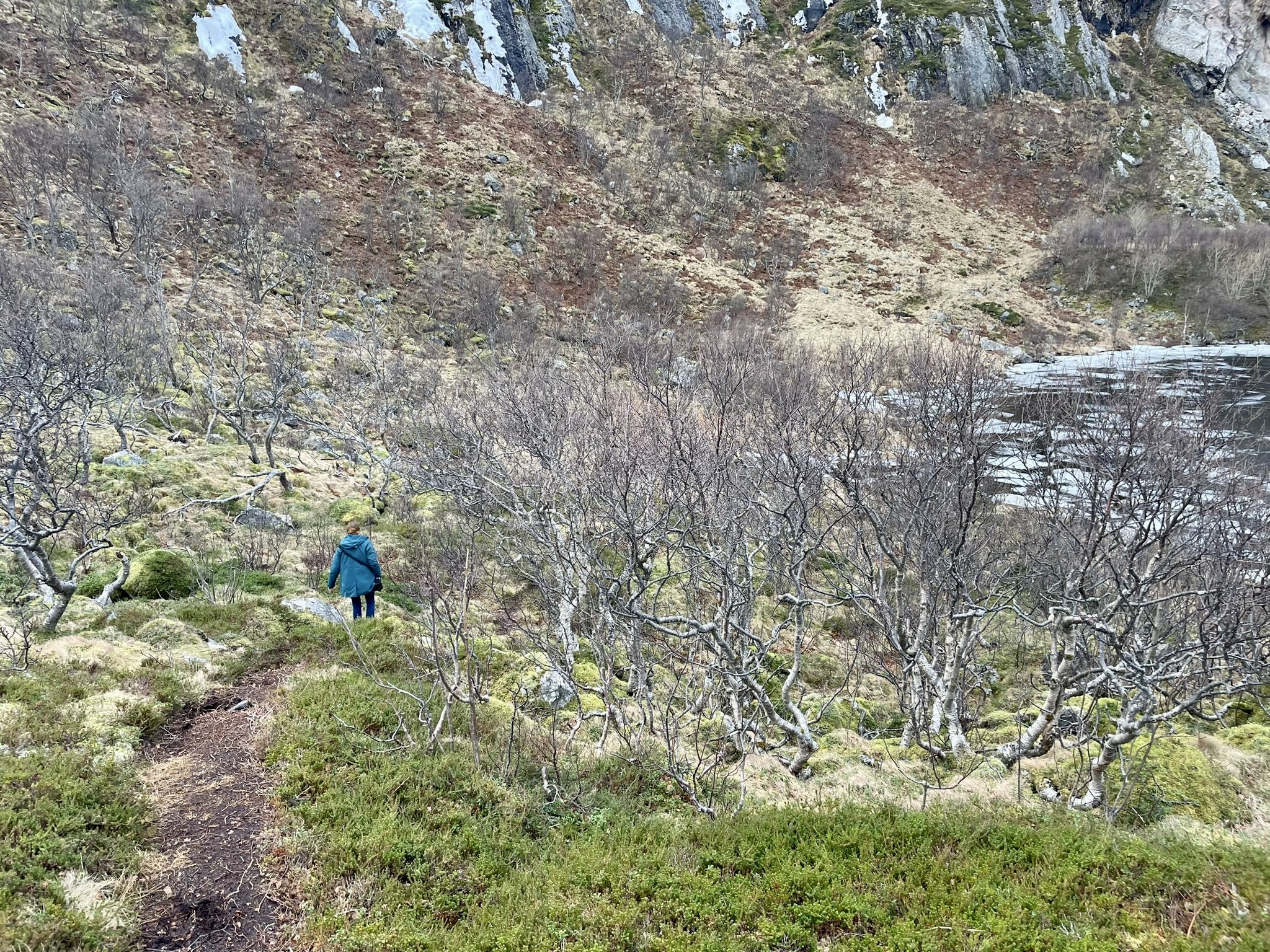 wandelen in bergen.jpeg