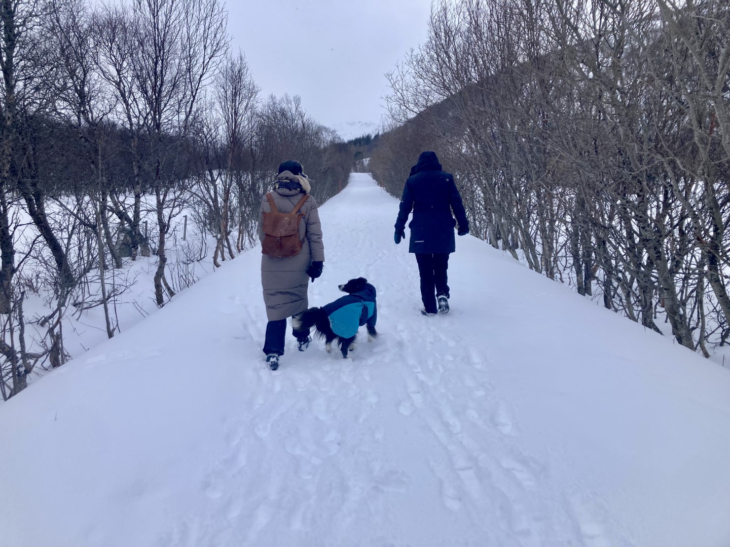 wandelen in de sneeuw 2.jpeg